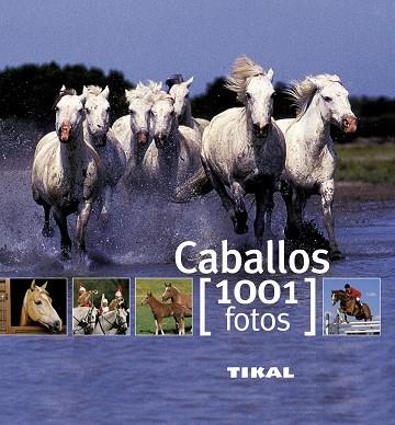 Caballos | 9788499280875 | Rudel, Murielle | Librería Castillón - Comprar libros online Aragón, Barbastro
