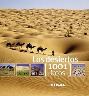 Los desiertos | 9788499281308 | Lemoine, Claire | Librería Castillón - Comprar libros online Aragón, Barbastro