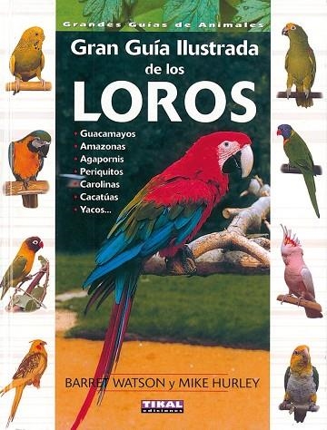 Guía ilustrada de los loros | 9788430536900 | Watson, Barret | Librería Castillón - Comprar libros online Aragón, Barbastro