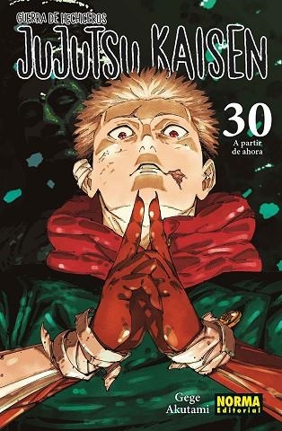 JUJUTSU KAISEN 30 | 9788467975833 | AKUTAMI, GEGE | Librería Castillón - Comprar libros online Aragón, Barbastro