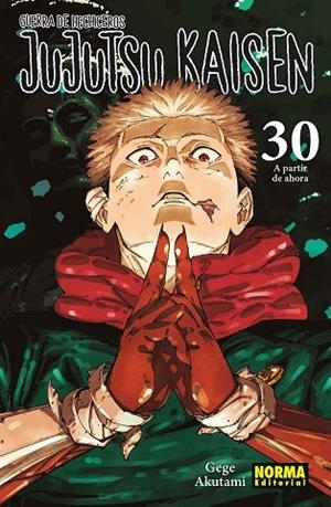JUJUTSU KAISEN 30 | 9788467975833 | AKUTAMI, GEGE | Librería Castillón - Comprar libros online Aragón, Barbastro