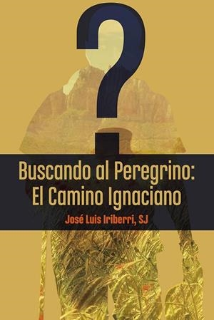 Buscando al Peregrino | 9788427145887 | Iriberri, Josep Lluis | Librería Castillón - Comprar libros online Aragón, Barbastro