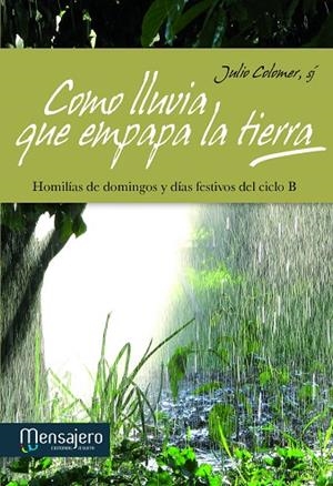 Como lluvia que empapa la tierra | 9788427132344 | Colomer Casanova, Julio | Librería Castillón - Comprar libros online Aragón, Barbastro