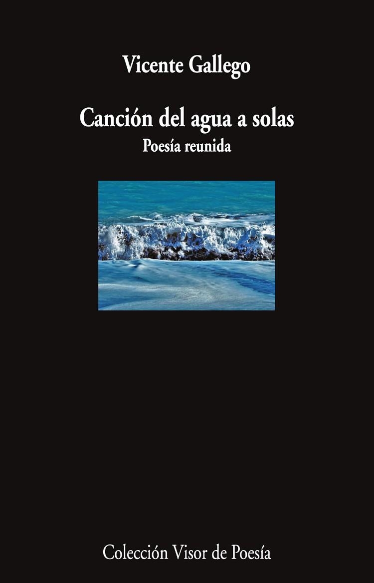 Canción del agua a solas | 9791387745967 | Gallego, Vicente | Librería Castillón - Comprar libros online Aragón, Barbastro