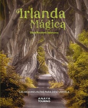 Irlanda mágica | 9788491587224 | Rocaberti, David | Librería Castillón - Comprar libros online Aragón, Barbastro