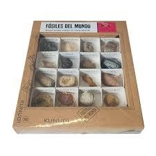 CAJA DE FÓSILES DEL MUNDO | 8435193785618 | Librería Castillón - Comprar libros online Aragón, Barbastro