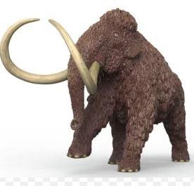 FIGURA SCHLEICH MAMUT LANUDO | 4069111254951 | Librería Castillón - Comprar libros online Aragón, Barbastro