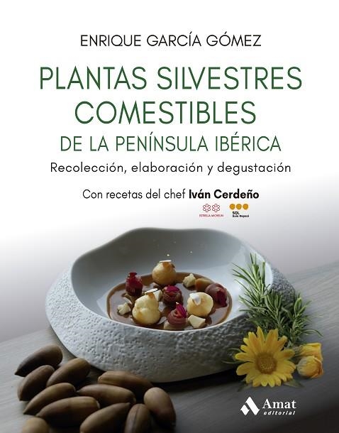 Plantas silvestres comestibles de la península ibérica | 9788410451384 | García Gómez, Enrique | Librería Castillón - Comprar libros online Aragón, Barbastro