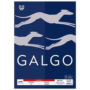 PAPEL A4 225GR GALGO VERJURADO BLANCO PAQ.25H | 8413623508389 | Librería Castillón - Comprar libros online Aragón, Barbastro