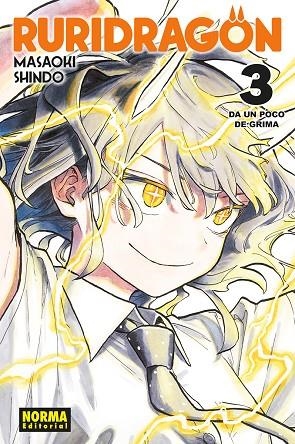 RURIDRAGON 03 | 9788467982039 | MASAOKI SHINDO | Librería Castillón - Comprar libros online Aragón, Barbastro