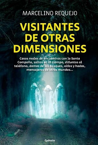 Visitantes de otras dimensiones | 9788412772821 | Requejo Alonso, Marcelino | Librería Castillón - Comprar libros online Aragón, Barbastro