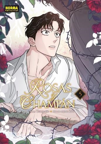 ROSAS Y CHAMPAN 05 | 9788467983418 | TTUNG GAE/ZIG | Librería Castillón - Comprar libros online Aragón, Barbastro