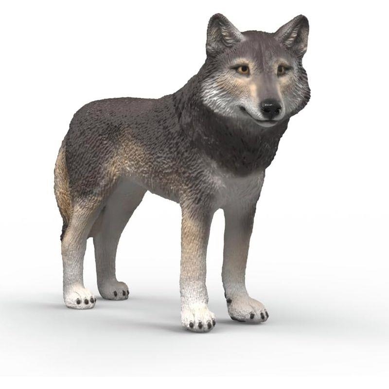 FIGURA SCHLEICH LOBO AMERICANO | 4069111445212 | Librería Castillón - Comprar libros online Aragón, Barbastro