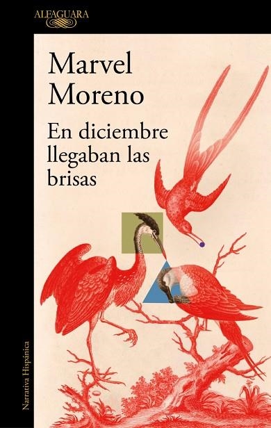 En diciembre llegaban las brisas | 9791387975241 | Moreno, Marvel | Librería Castillón - Comprar libros online Aragón, Barbastro