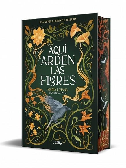 Aquí arden las flores | 9791387741662 | @aiguadvalencia | Librería Castillón - Comprar libros online Aragón, Barbastro
