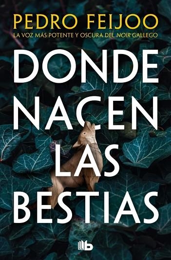 Donde nacen las bestias | 9791387652357 | Feijoo, Pedro | Librería Castillón - Comprar libros online Aragón, Barbastro