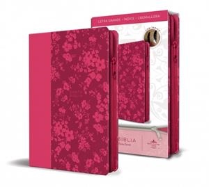 Biblia Reina Valera 1960 letra grande. Símil fucsia | 9781644733851 | Reina Valera Revisada | Librería Castillón - Comprar libros online Aragón, Barbastro