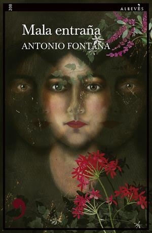 Mala entraña | 9788410455757 | Fontana, Antonio | Librería Castillón - Comprar libros online Aragón, Barbastro