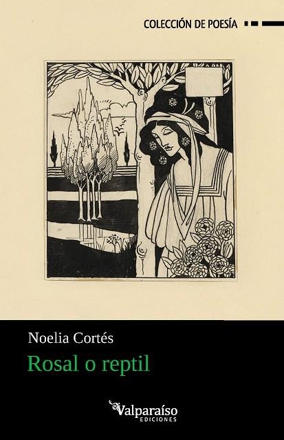 Rosal o reptil | 9791388007804 | Cortés, Noelia | Librería Castillón - Comprar libros online Aragón, Barbastro