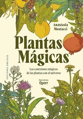 Plantas mágicas | 9788411723848 | Mostacci, Anastasia | Librería Castillón - Comprar libros online Aragón, Barbastro