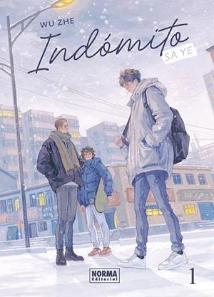 INDOMITO: SA YE 01 | 9788467983685 | ZHE, WU | Librería Castillón - Comprar libros online Aragón, Barbastro