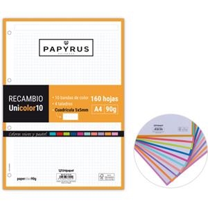 RECAMBIO PAPYRUS A4 UNI 10 COLORES 160 HOJAS 90 GR CUADRICULA 5X5MM | 8413623339419 | Librería Castillón - Comprar libros online Aragón, Barbastro