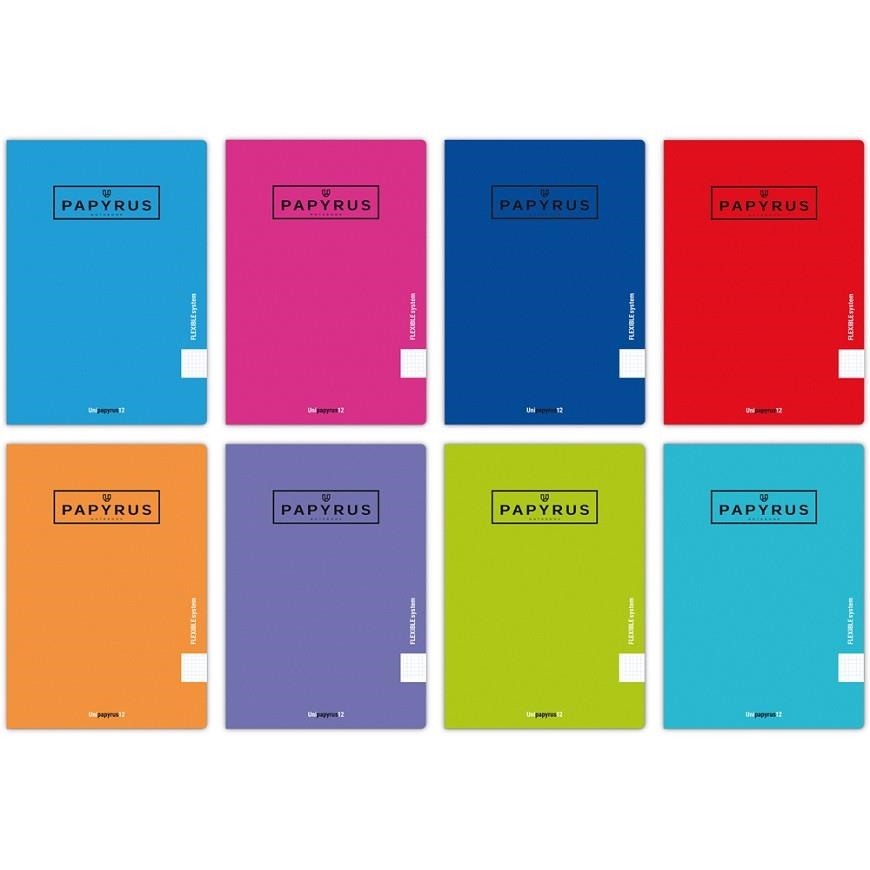 LIBRETA GRAPADA A5+ TAPA PLASTICO PAPYRUS 48H 90GR CUADRICULA 4MM (COLORES SURTIDOS) | 8413623903566 | Librería Castillón - Comprar libros online Aragón, Barbastro