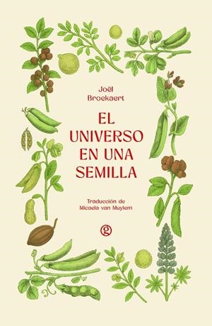 El universo en una semilla | 9788419990839 | Broekaert, Joël | Librería Castillón - Comprar libros online Aragón, Barbastro