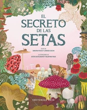 El secreto de las setas | 9788410043800 | Picoco, Ginevra/Cocchi, Lorenzo | Librería Castillón - Comprar libros online Aragón, Barbastro