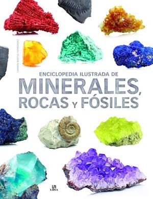 Enciclopedia Ilustrada de Minerales, Rocas y Fósiles | 9788466238991 | Martul Hernández, Carmen | Librería Castillón - Comprar libros online Aragón, Barbastro