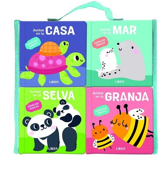Pack Familias Únicas | 9788466244435 | Mañeru Cámara, María | Librería Castillón - Comprar libros online Aragón, Barbastro