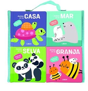 Pack Familias Únicas | 9788466244435 | Mañeru Cámara, María | Librería Castillón - Comprar libros online Aragón, Barbastro