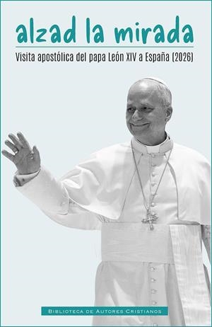ALZAD LA MIRADA | 9788422024538 | AA.VV, AA.VV | Librería Castillón - Comprar libros online Aragón, Barbastro