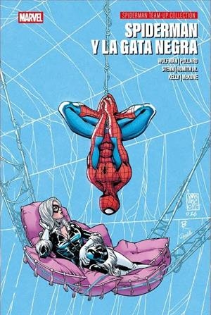 SPIDERMAN Y LA GATA NEGRA | 9791370137434 | Pollard, Keith / Kelly, Joe / Romita Jr., John / Wolfman, Marv / Stern, Roger | Librería Castillón - Comprar libros online Aragón, Barbastro