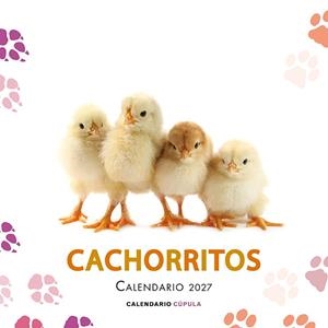 Calendario Cachorritos 2027 | 9788448049317 | Aa. Vv. | Librería Castillón - Comprar libros online Aragón, Barbastro