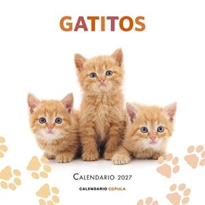 Calendario Gatitos 2027 | 9788448049300 | Aa. Vv. | Librería Castillón - Comprar libros online Aragón, Barbastro