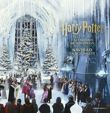 Harry Potter: Calendario Adviento Navidad en Hogwarts | 9788448049171 | Aa. Vv. | Librería Castillón - Comprar libros online Aragón, Barbastro