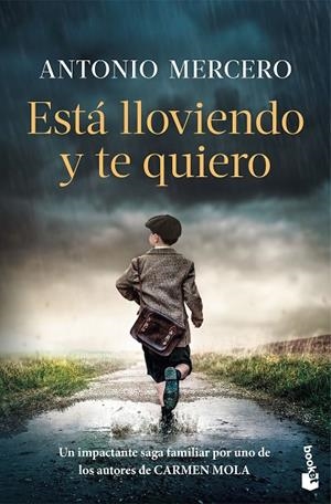 Está lloviendo y te quiero | 9788408326724 | Mercero, Antonio | Librería Castillón - Comprar libros online Aragón, Barbastro