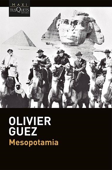 Mesopotamia | 9788411078320 | Guez, Olivier | Librería Castillón - Comprar libros online Aragón, Barbastro