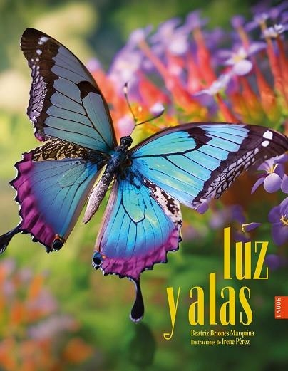 Luz y alas | 9788414056493 | Briones Marquina, Beatriz | Librería Castillón - Comprar libros online Aragón, Barbastro