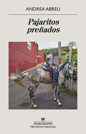 Pajaritos preñados | 9788433950819 | Abreu, Andrea | Librería Castillón - Comprar libros online Aragón, Barbastro