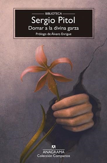 Domar a la divina garza | 9788433950987 | Pitol, Sergio | Librería Castillón - Comprar libros online Aragón, Barbastro