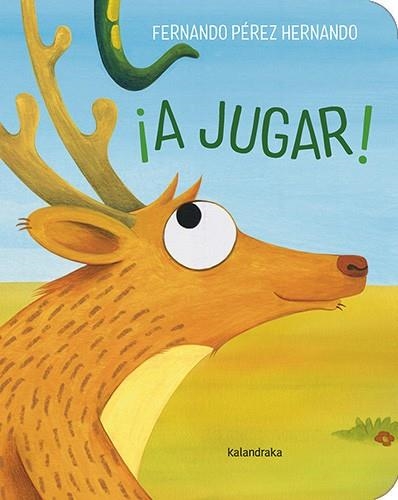 ¡A jugar! | 9788413434582 | Pérez Hernando, Fernando | Librería Castillón - Comprar libros online Aragón, Barbastro