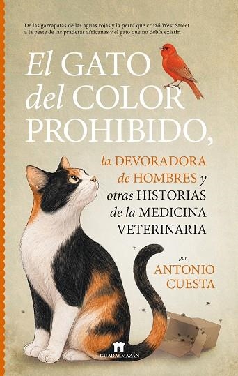 El gato del color prohibido, la devoradora de hombres y otras historias de la me | 9791387941314 | Antonio Cuesta | Librería Castillón - Comprar libros online Aragón, Barbastro