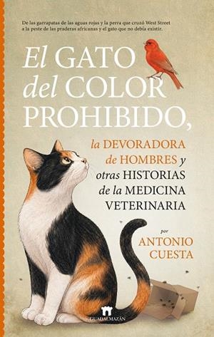 El gato del color prohibido, la devoradora de hombres y otras historias de la me | 9791387941314 | Antonio Cuesta | Librería Castillón - Comprar libros online Aragón, Barbastro