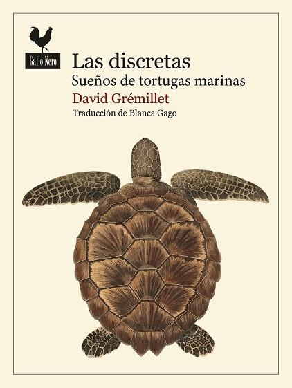Las discretas | 9788419168986 | Grémillet, David | Librería Castillón - Comprar libros online Aragón, Barbastro