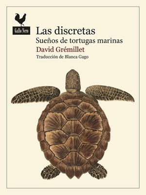 Las discretas | 9788419168986 | Grémillet, David | Librería Castillón - Comprar libros online Aragón, Barbastro