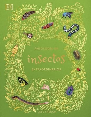 Antología de insectos extraordinarios (Planeta curioso) | 9780241838792 | French, Jess | Librería Castillón - Comprar libros online Aragón, Barbastro