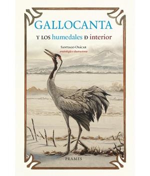 GALLOCANTA Y LOS HUMEDALES DE INTERIOR | 9788483216668 | Osácar, Santiago Osácar | Librería Castillón - Comprar libros online Aragón, Barbastro