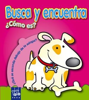 COMO ES ? - BUSCA Y ENCUENTRA | 9788408068648 | Librería Castillón - Comprar libros online Aragón, Barbastro